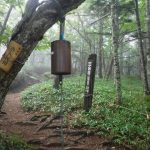 アポイ岳 2024,7,25